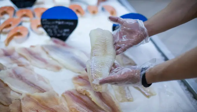 Precautions While Handling Fish With Malnutrition Or Digestive Issues