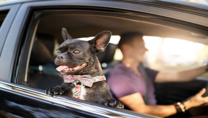 Preparational Tips For Traveling With Your Dog