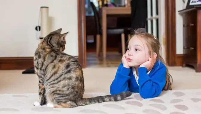 The Benefits Of Owning A Cat For Children And Families