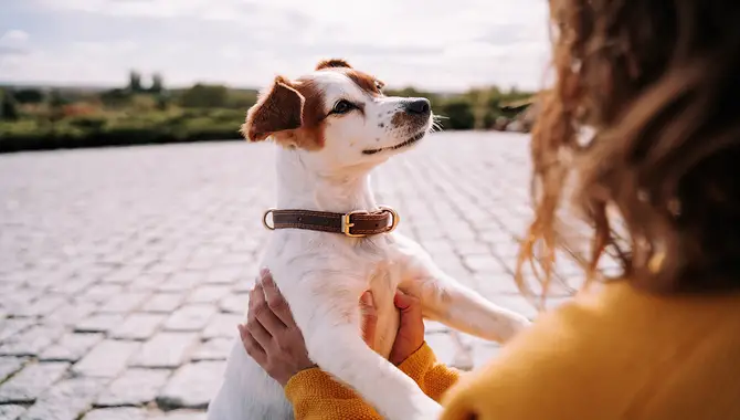 The Human-Canine Bond