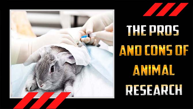 The Pros And Cons Of Animal Research