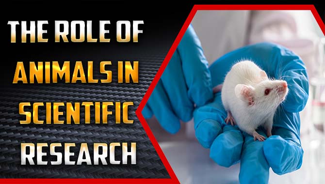 The Role Of Animals In Scientific Research