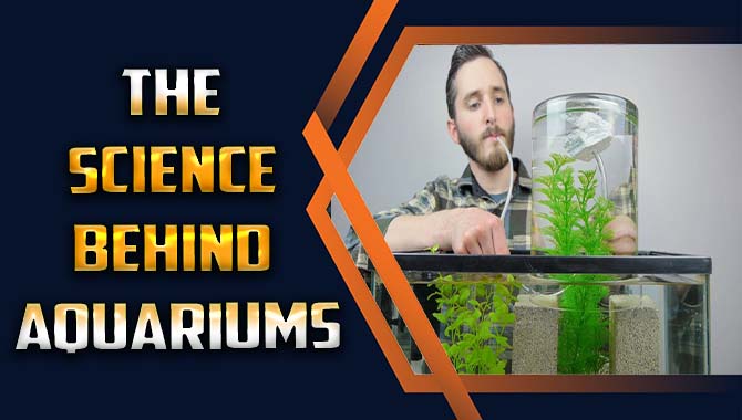 The Science Behind Aquariums – Let’s Know about It
