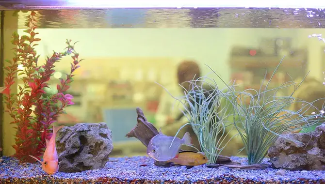 Things To Keep In Mind While Handling And Installing Aquarium Glass