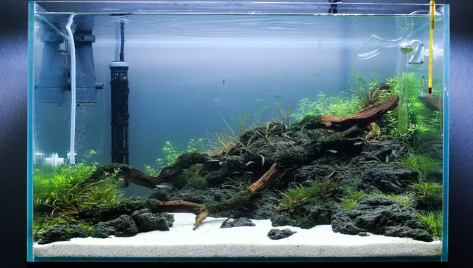 Types Of Sand That Are Best For Aquariums