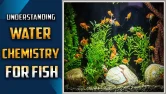 Water Chemistry For Fish