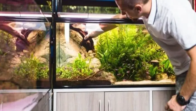 What Are Some Common Mistakes People Make When Designing And Decorating Their Aquariums