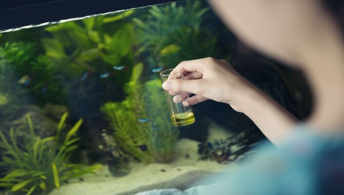 What Are Some Ideal Water Chemistry Conditions For Fish