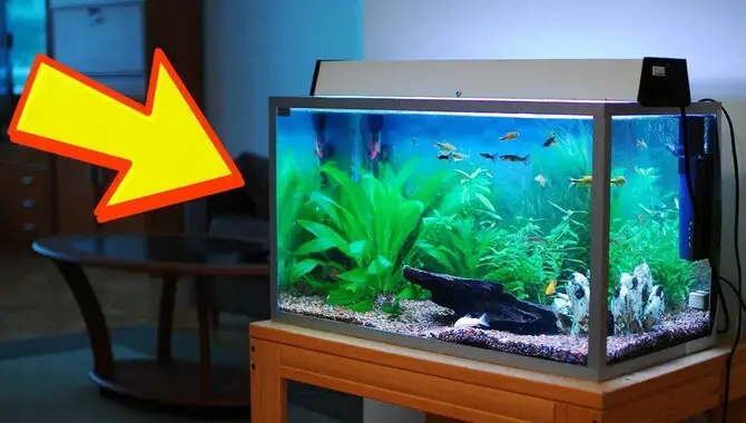 What Are The Benefits Of Having An Aquarium
