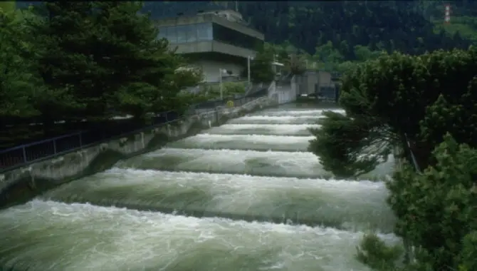 What Are The Challenges Of Building A Fish Ladder For Migration