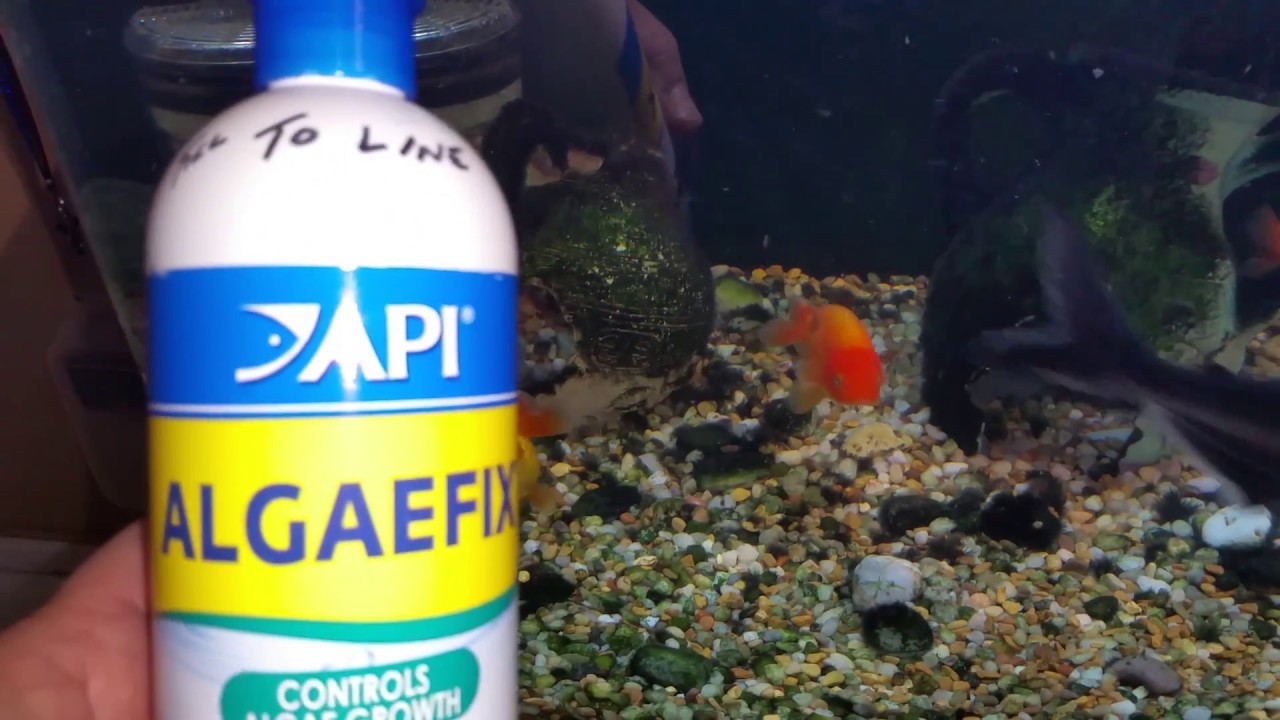 Algaefix Overdose - How To Rescue Your Aquarium Or Pond