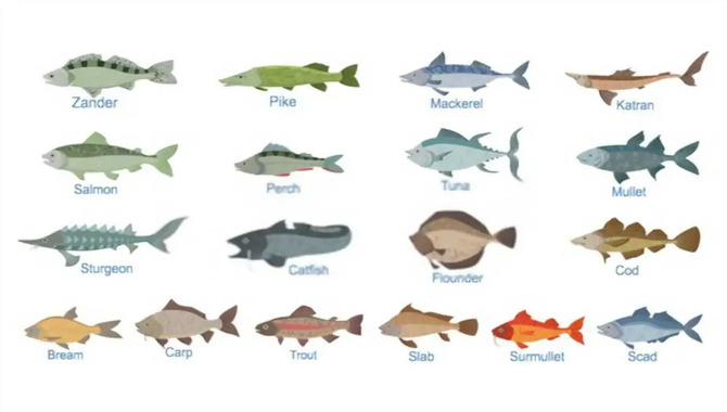 Are There Any Online Or Reference Resources That Can Help With Identifying Fish Species?