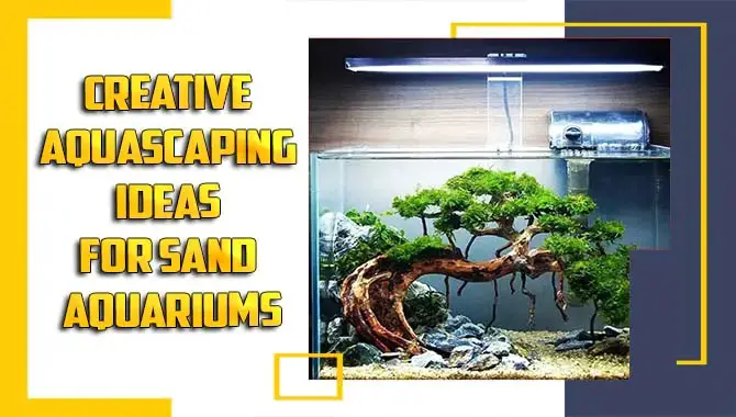 Creative Aquascaping Ideas For Sand Aquariums