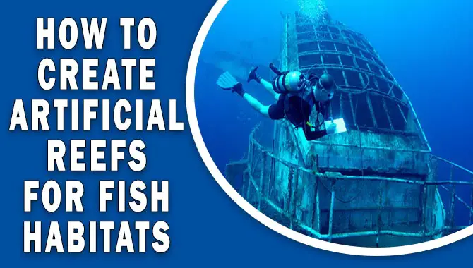 How To Create Artificial Reefs For Fish Habitats