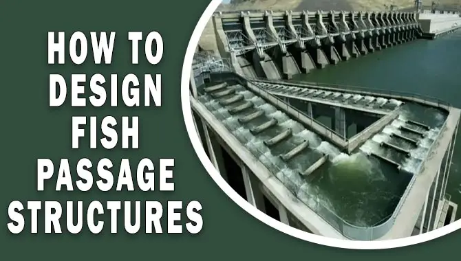 How To Design Fish Passage Structures