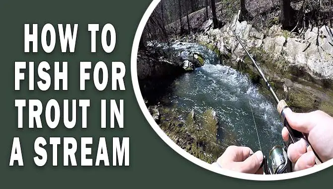 How To Fish For Trout In A Stream