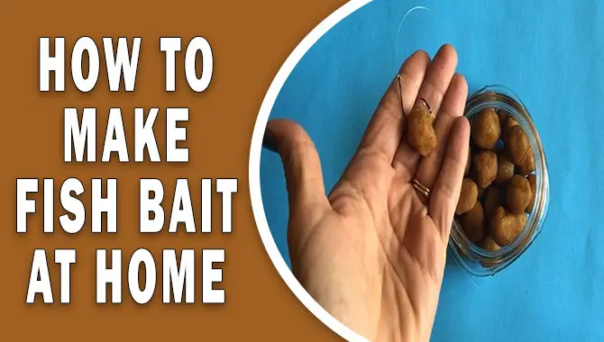 How To Make Fish Bait At Home