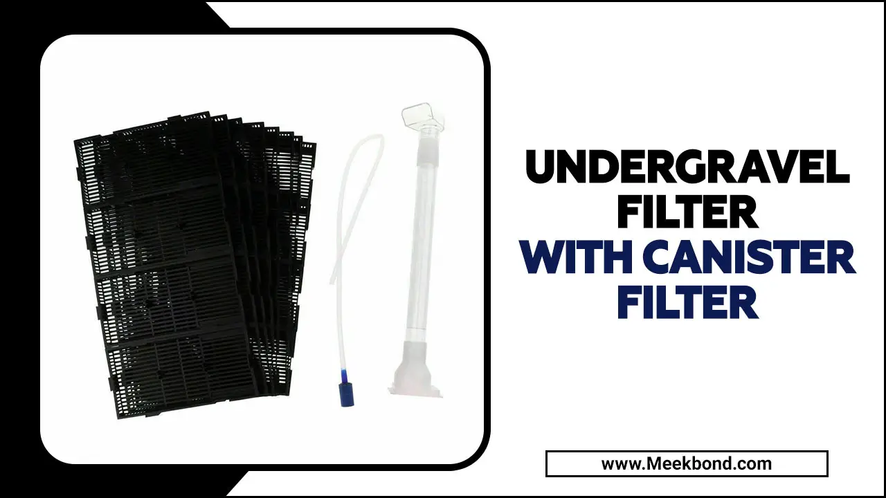 Undergravel Filter With Canister Filter- The Ultimate Guide