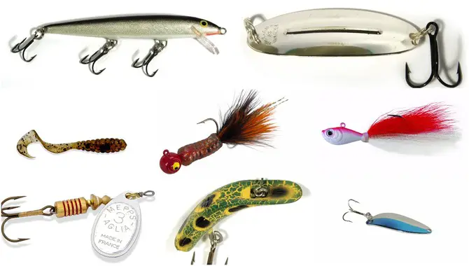 What Are Some Good Baits To Use When Fishing For Trout In A Stream?