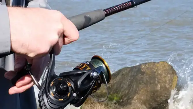 What Are The Different Types Of Fishing Rods And Reels?
