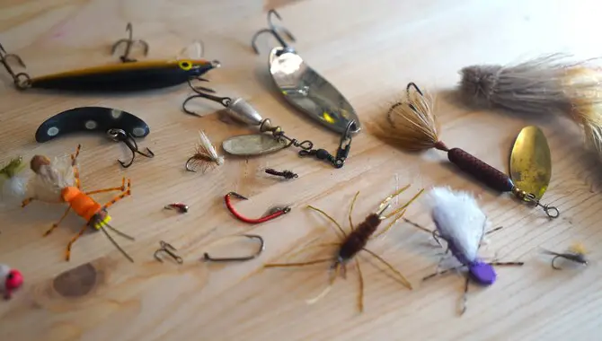 What Do You Need To Make Fish Bait At Home?