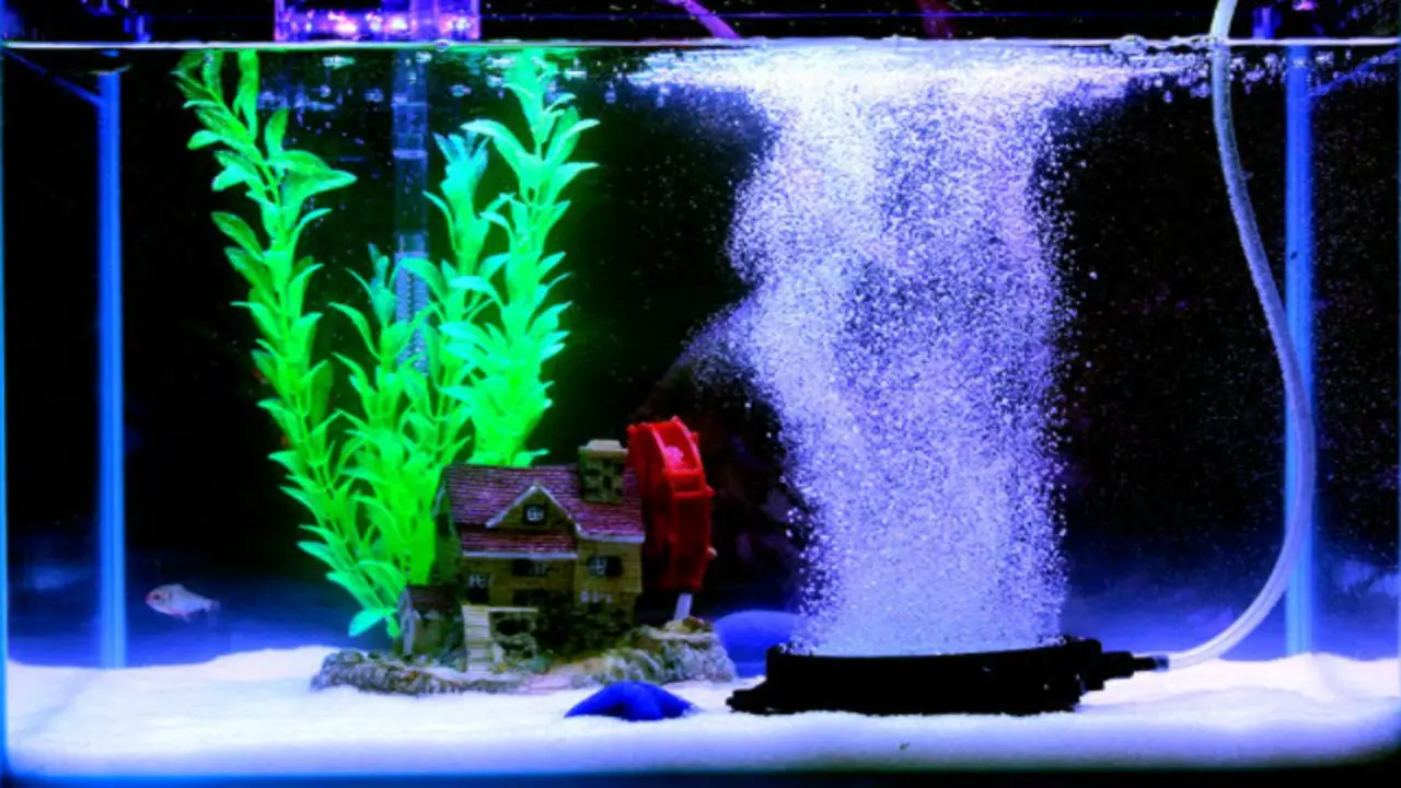 While Your Aquarium Or Pond Is Draining, Add An Airstone