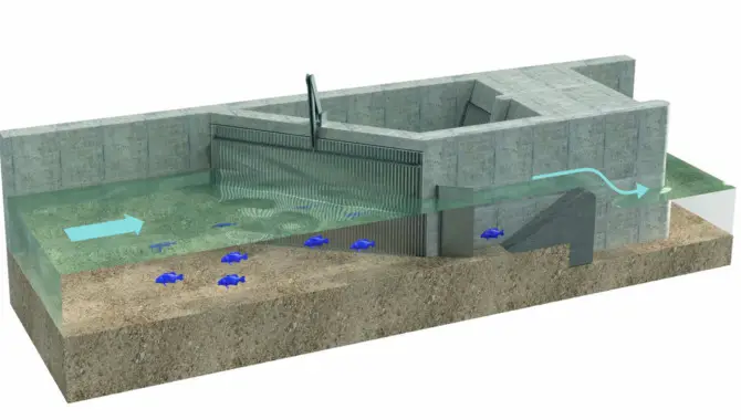 How To Design Fish-Friendly Hydroelectric Dams - Effective Guide