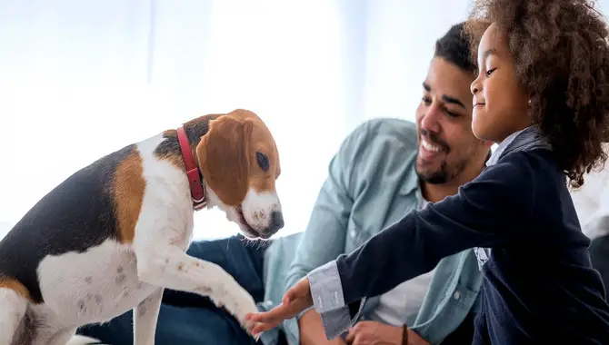 How To Introduce A New Dog To Your Family-By Following Step-By-Step Guidelines