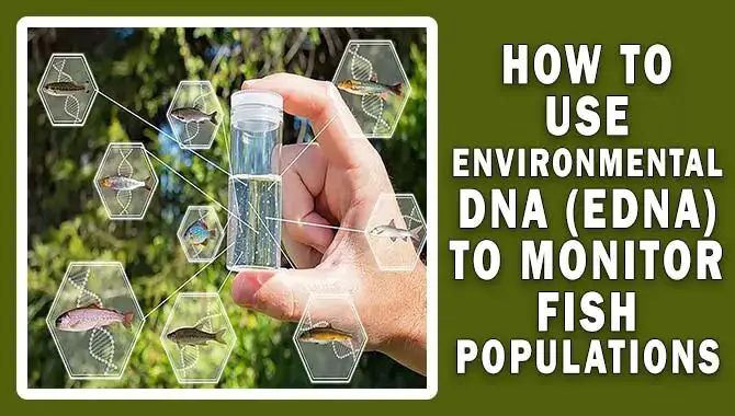 How To Use Environmental DNA (Edna) To Monitor Fish Populations – Simple Guide
