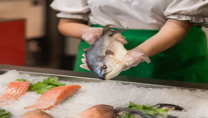 Sourcing Fresh Fish For Sushi