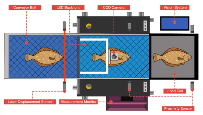 Technologies Used In Fish Behavior Monitoring