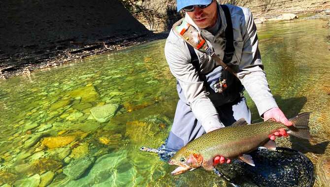The Best Time To Fish For Trout In A Stream