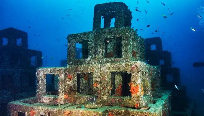 What Are Artificial Reefs