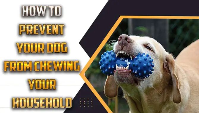 How To Prevent Your Dog From Chewing Your Household Items