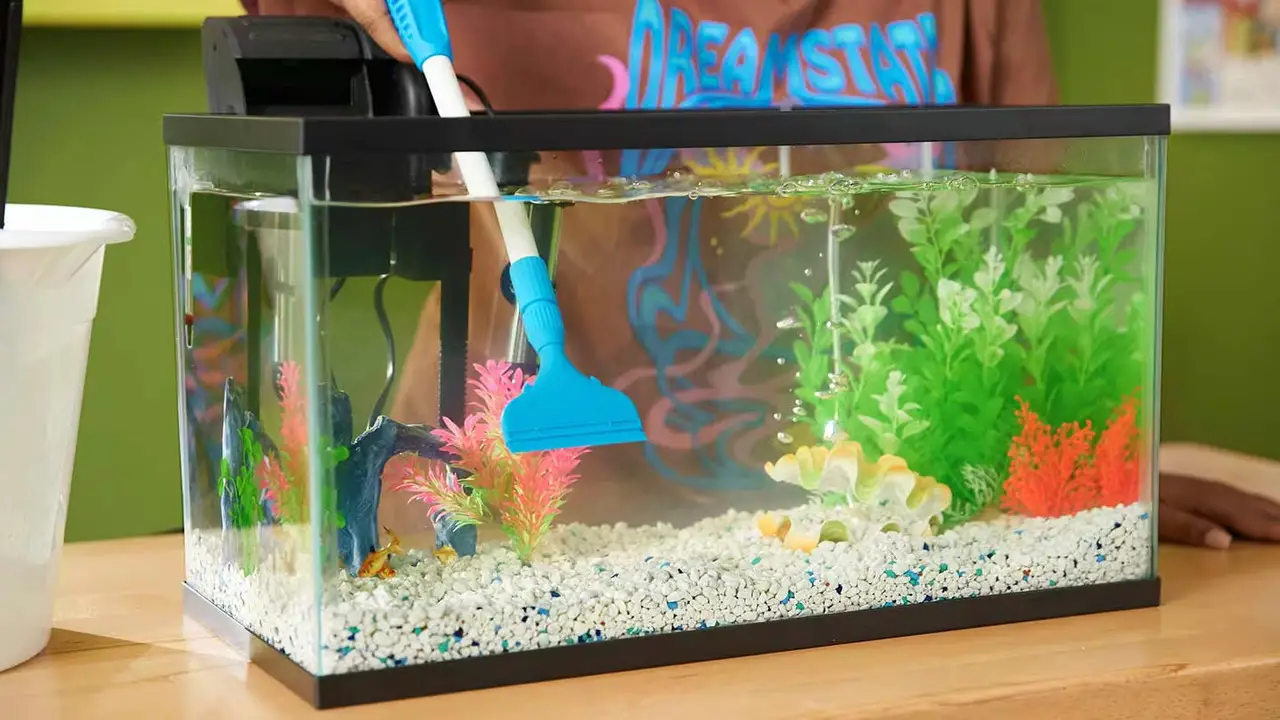 Prepare Your Tank For Proper Cleaning