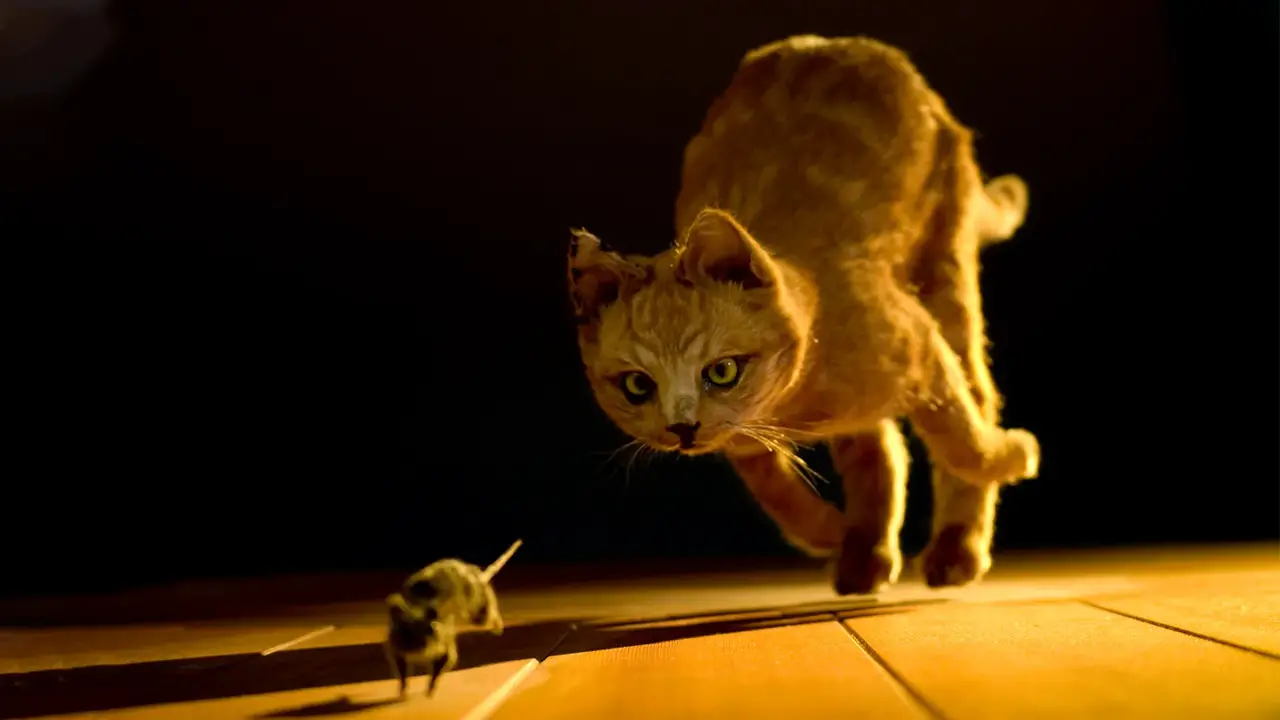 What To Do When Your Cat Catches A Mouse