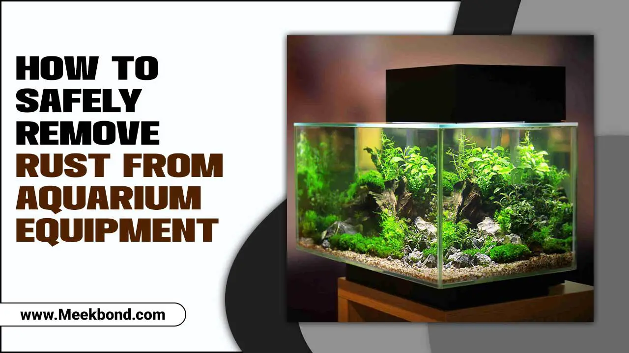 How To Safely Remove Rust From Aquarium Equipment