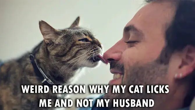 Weird Reason Why My Cat Licks Me And Not My Husband