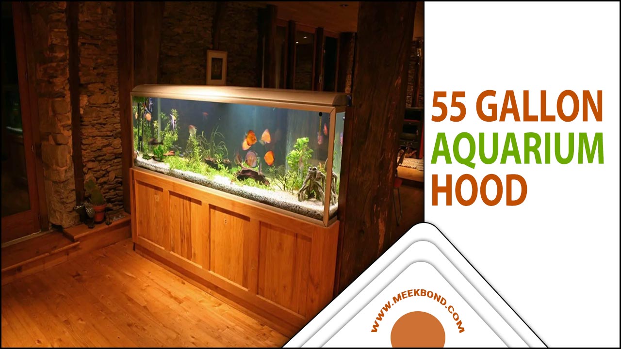 Enhance Your Aquarium With A 55 Gallon Aquarium Hood And Light