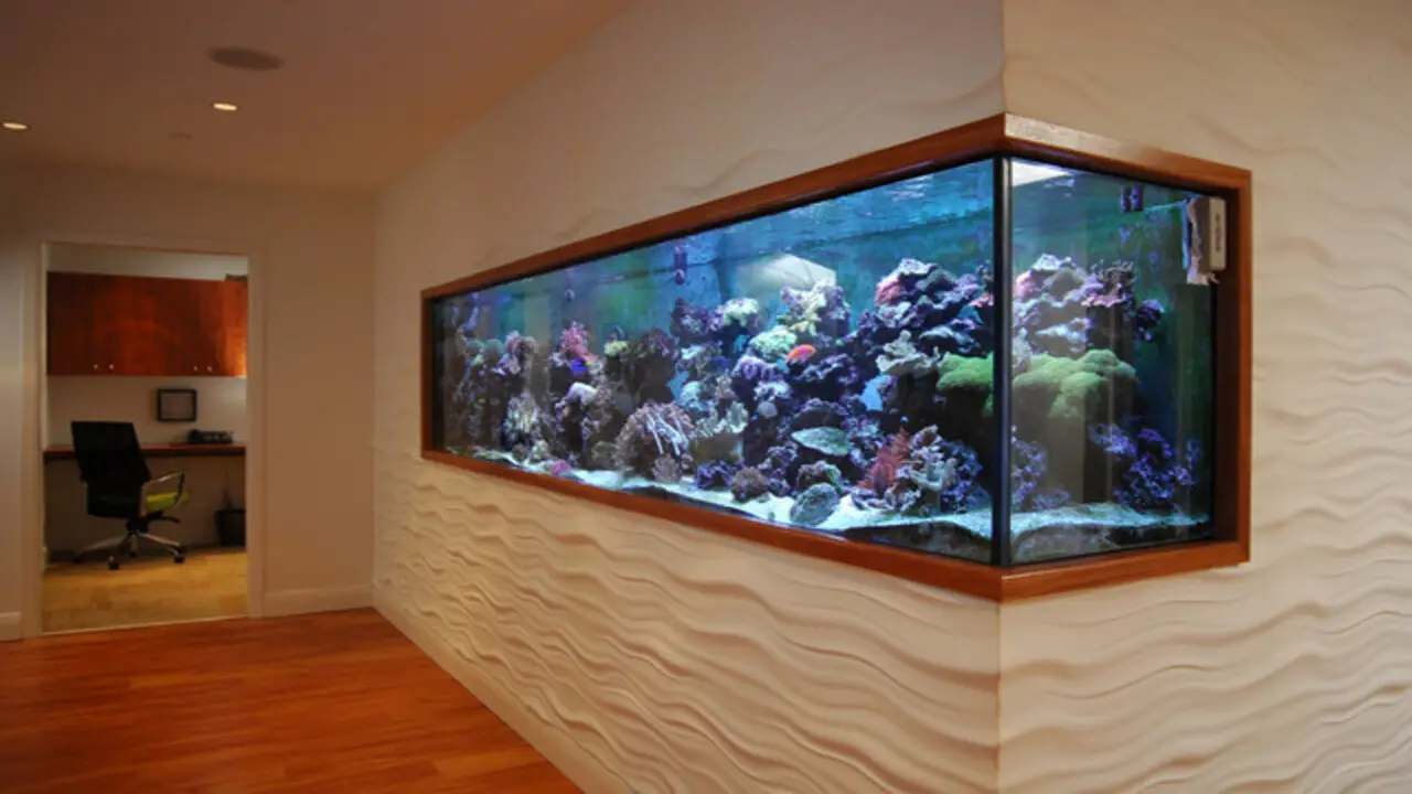 Advantages Of Having A Fish Tank In An Entertainment Center