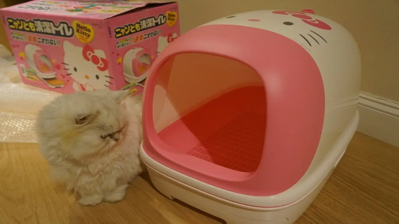 Anti-Splash Cat Litter Box
