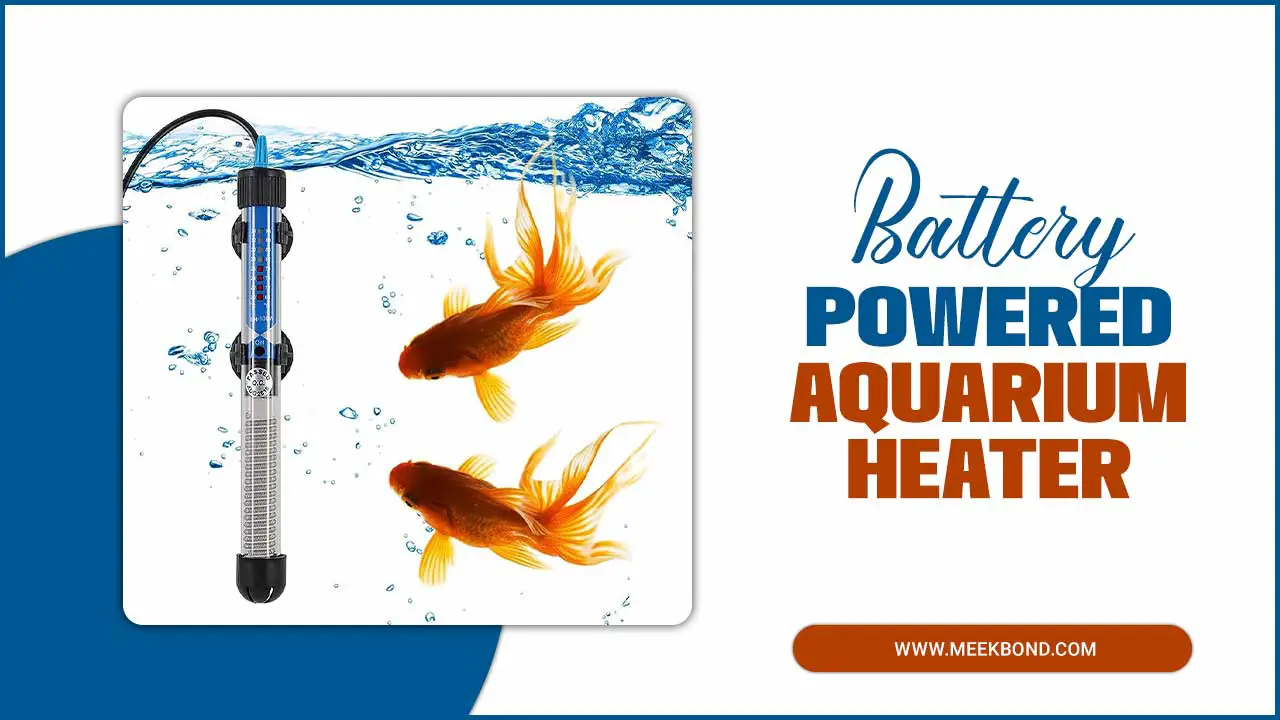 Battery Powered Aquarium Heaters: A Practical Solution