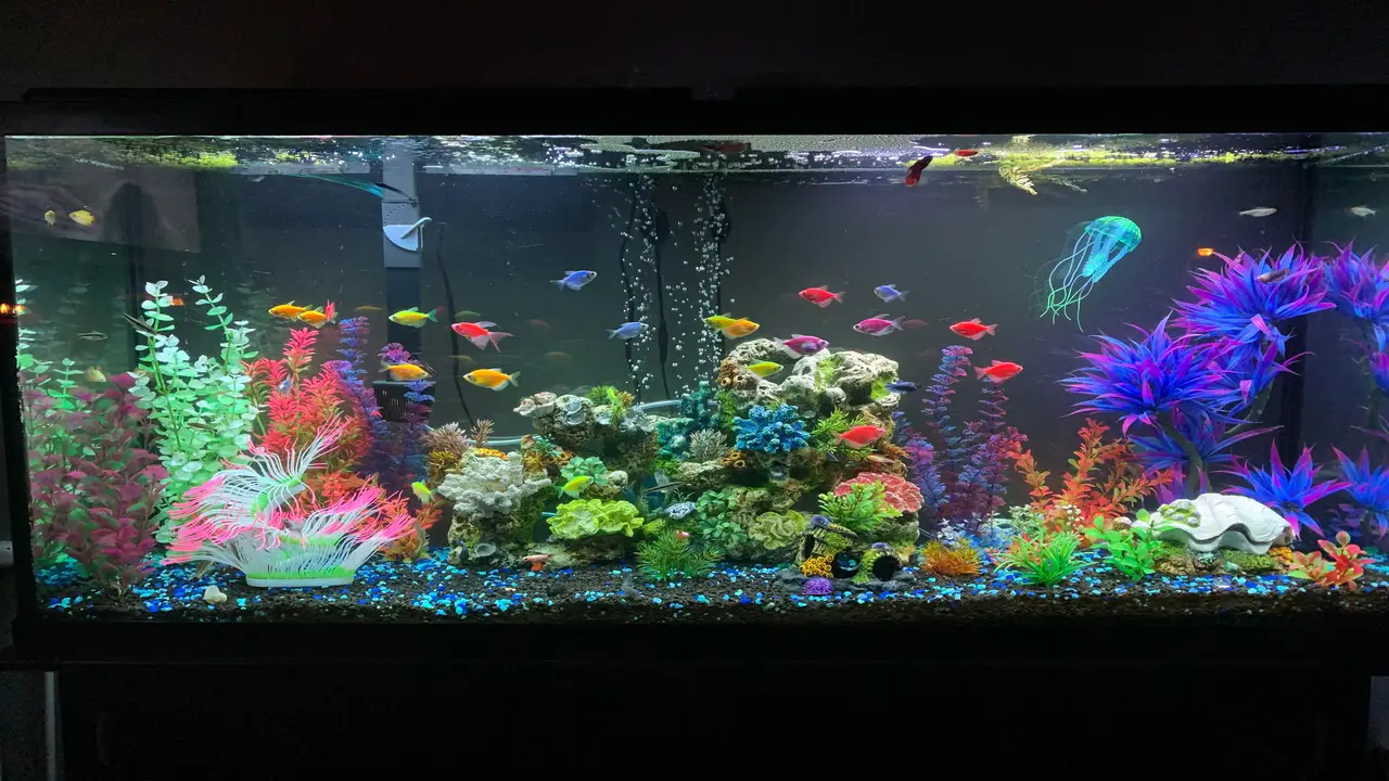 Benefits Of Having A Fish Tank-Dresser In Your Home