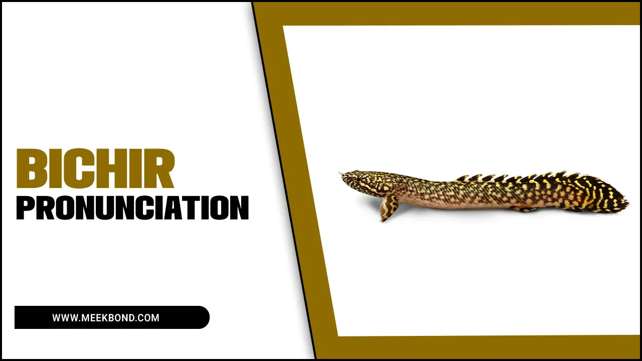 Clearing The Confusion: Bichir Pronunciation Demystified