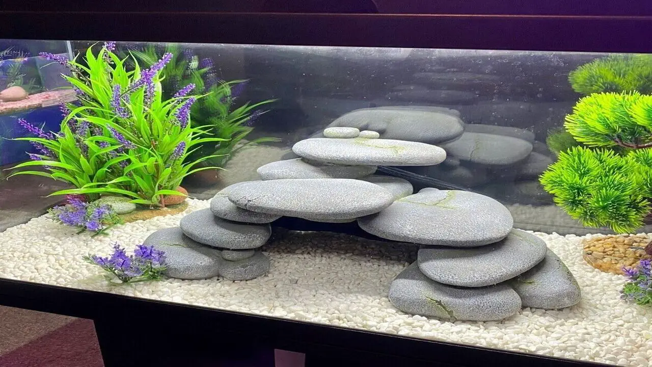 DIY Slate Monster Fish Cave From Slate Tiles