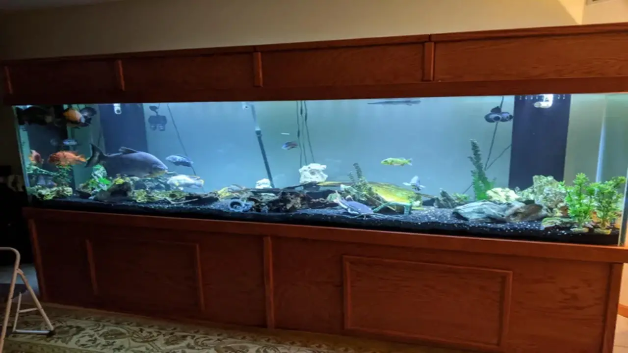 Deluxe Aquarium Full Hood With Fluorescent Light