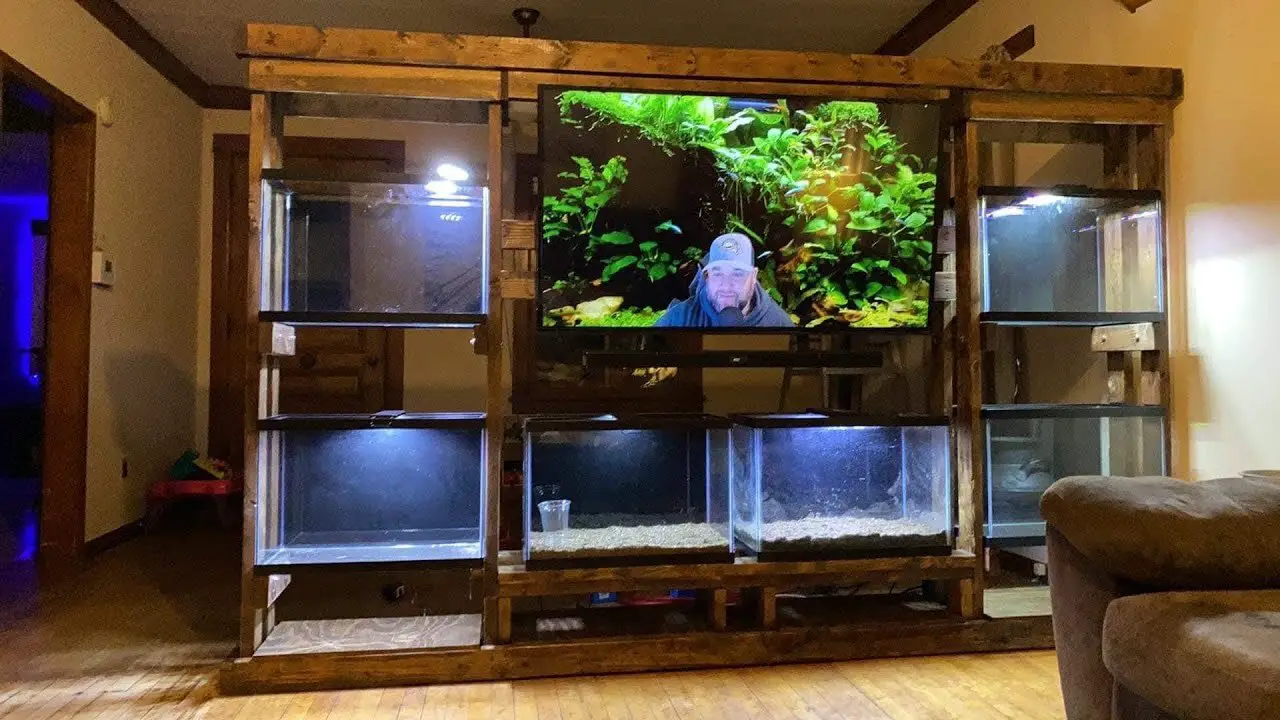Entertainment Center With Fish Tank Options - Explain In Details