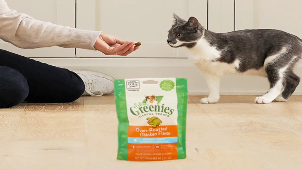 Factors That Can Influence The Number Of Greenies A Cat Needs