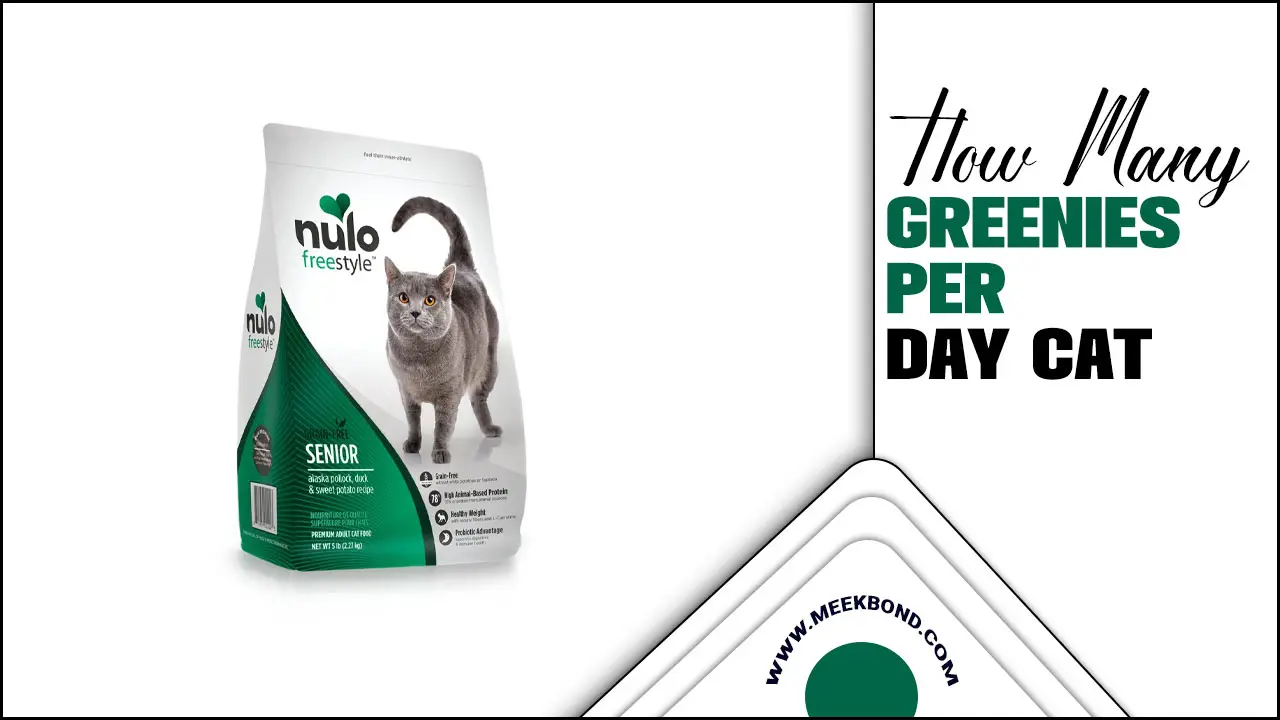 How Many Greenies Per Day Cat: A Pet Owner Guide