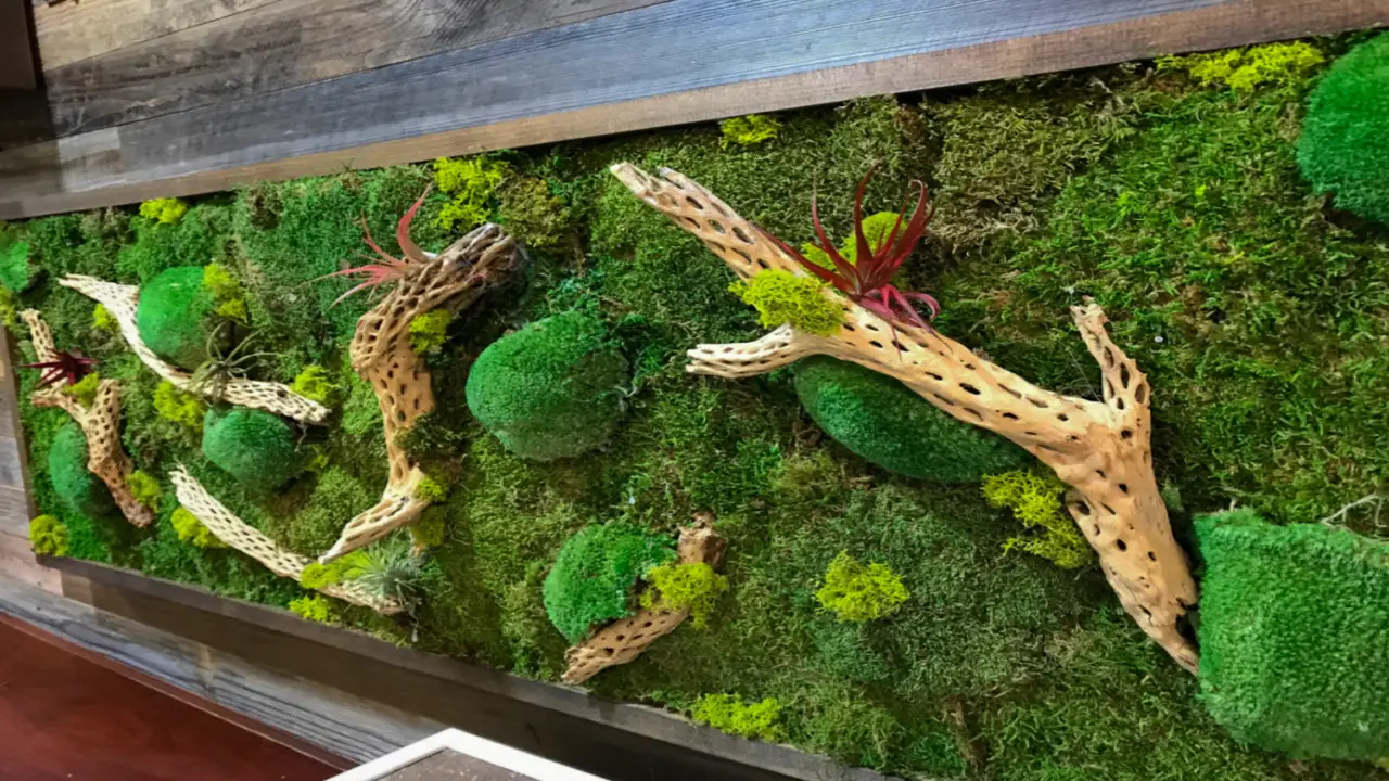 How To Create And Maintain A Moss Wall-Aquarium